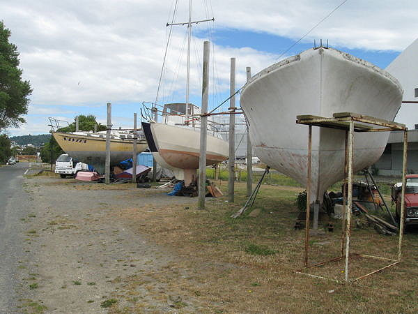 dunedinharbourboatsup2